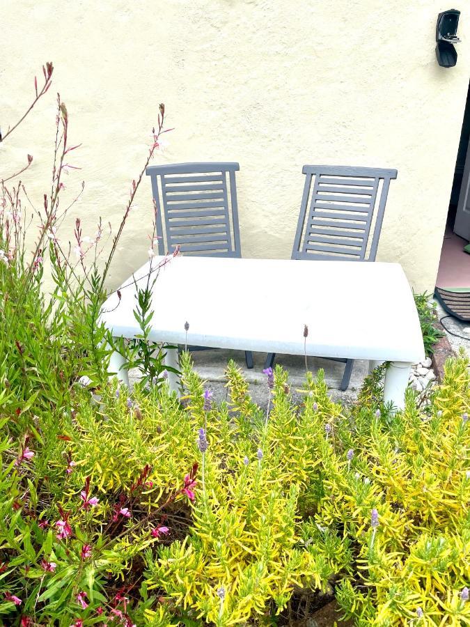 Kelp Cottage Gansbaai Dış mekan fotoğraf